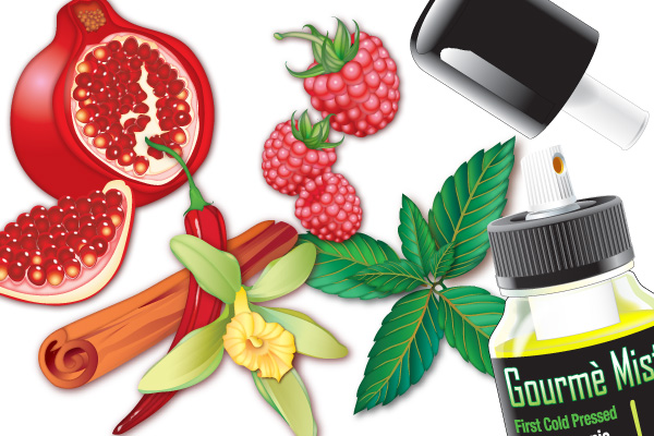 vector_art_samples samples of vector art raspberries, am aerosol top, chili, cinnamon, pomegranate, mint leaves