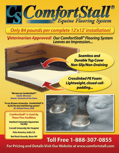 Large Image of Branding and Identity Design Sample