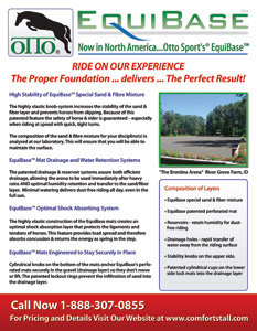 Large Image of Branding and Identity Design Sample