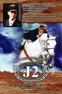 Large Image of Branding and Identity Design Sample