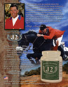Sample Advertising Design and Branding for Equestrian Products Company