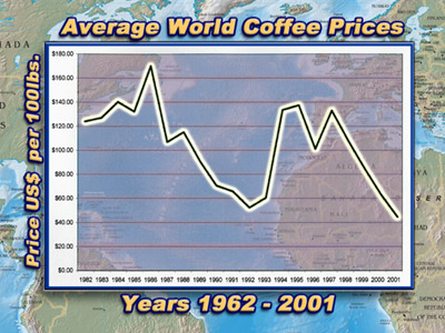 Large Image of Custom PowerPoint Template