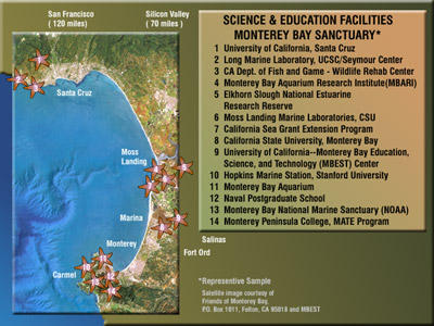 Large Image of Custom PowerPoint Template
