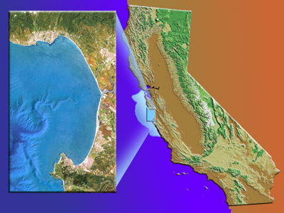 Large Image of Custom PowerPoint Template