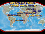 PowerPoint Presentation Design Sample