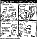Political Cartoonist Sample