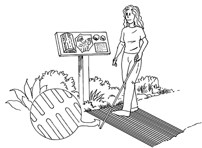 Large Image of Educational Illustration Sample