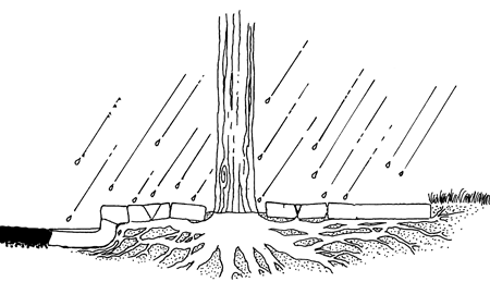 Large Image of Educational Illustration Sample