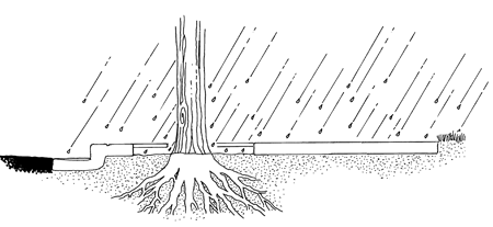 Large Image of Educational Illustration Sample