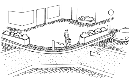 Large Image of Educational Illustration Sample