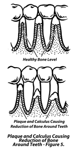 Large Image of Medical Illustration Sample