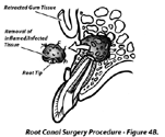 Medical Scientific Illustration Sample