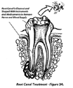 Medical Scientific Illustration Sample