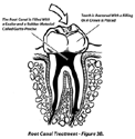 Medical Scientific Illustration Sample