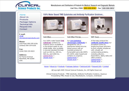 Large Screenshot of Web Design Sample