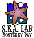 Logo Design Sample